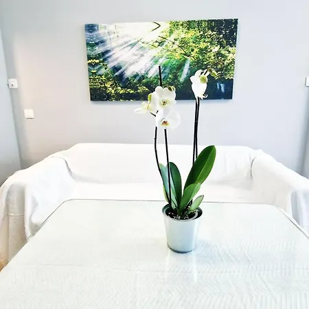 Appartement Aa Guest - Sur Sea Views Eco